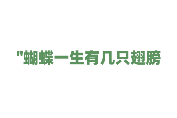 "蝴蝶一生有几只翅膀？"